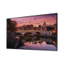 Pantalla Profesional LED de 55"