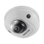 Mini Domo IP 2 Megapixel