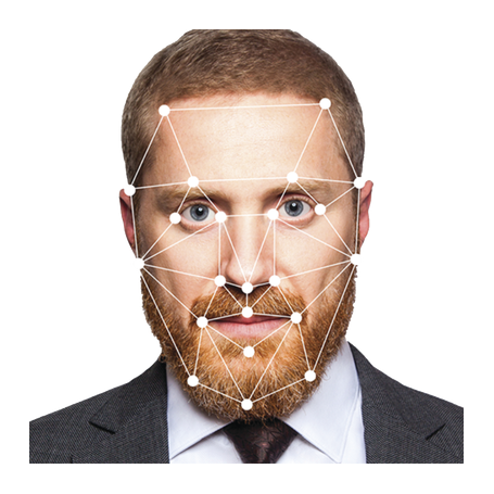 Digifort Facial PLUS System