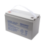 Acumulador Tecnología VRLA AGM 12 V 100 Ah